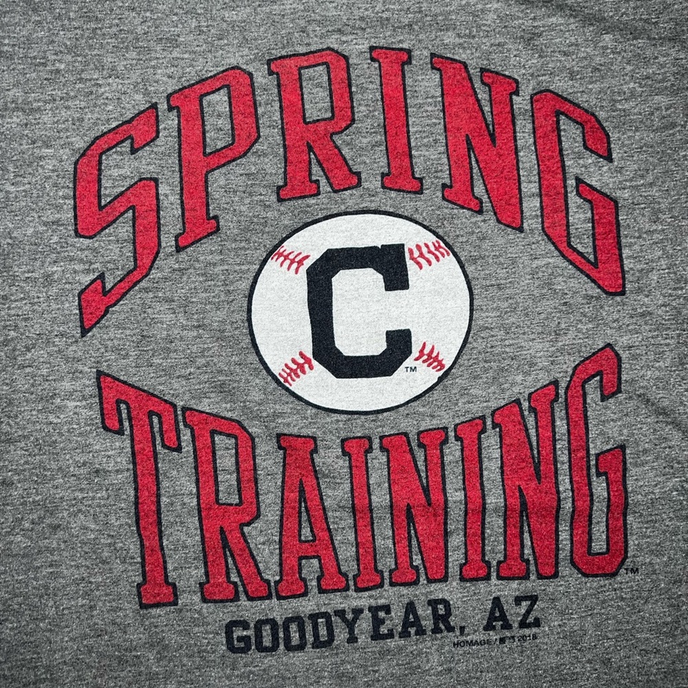 Cleveland Indians Guardians Spring Training Homage Shirt Grey Vintage - Picture 2 of 4